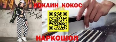 крисы Кулебаки