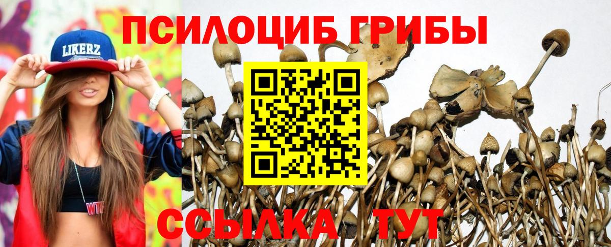 Галлюциногенные грибы GOLDEN TEACHER Тула