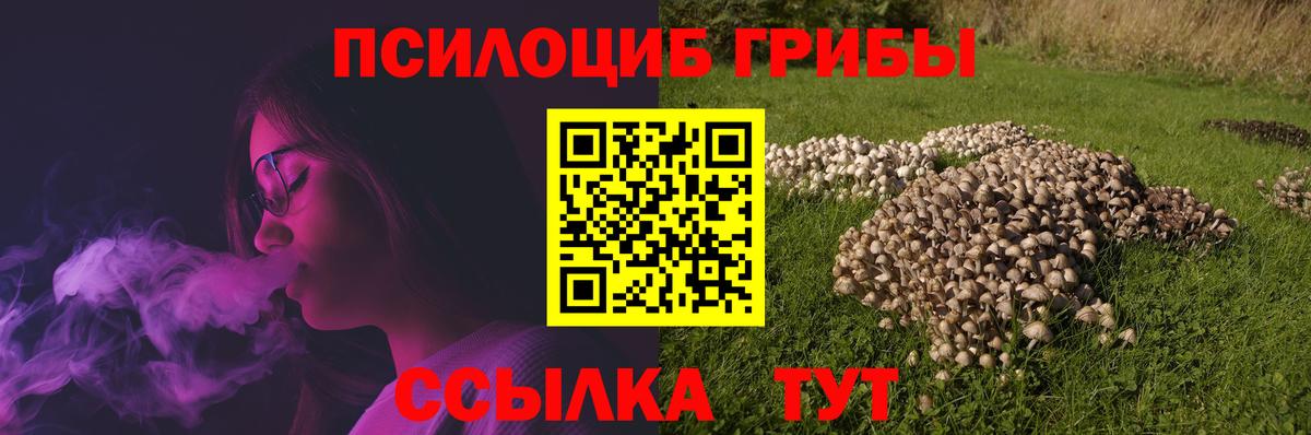 Галлюциногенные грибы MAGIC MUSHROOMS  наркотики  Тула  Вход с VPN  Галлюциногенные грибы ЛСД 